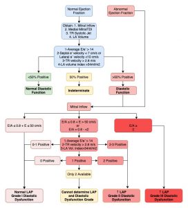 Lv Size And Function Predict Ventricular Arrhythmias | IUCN Water