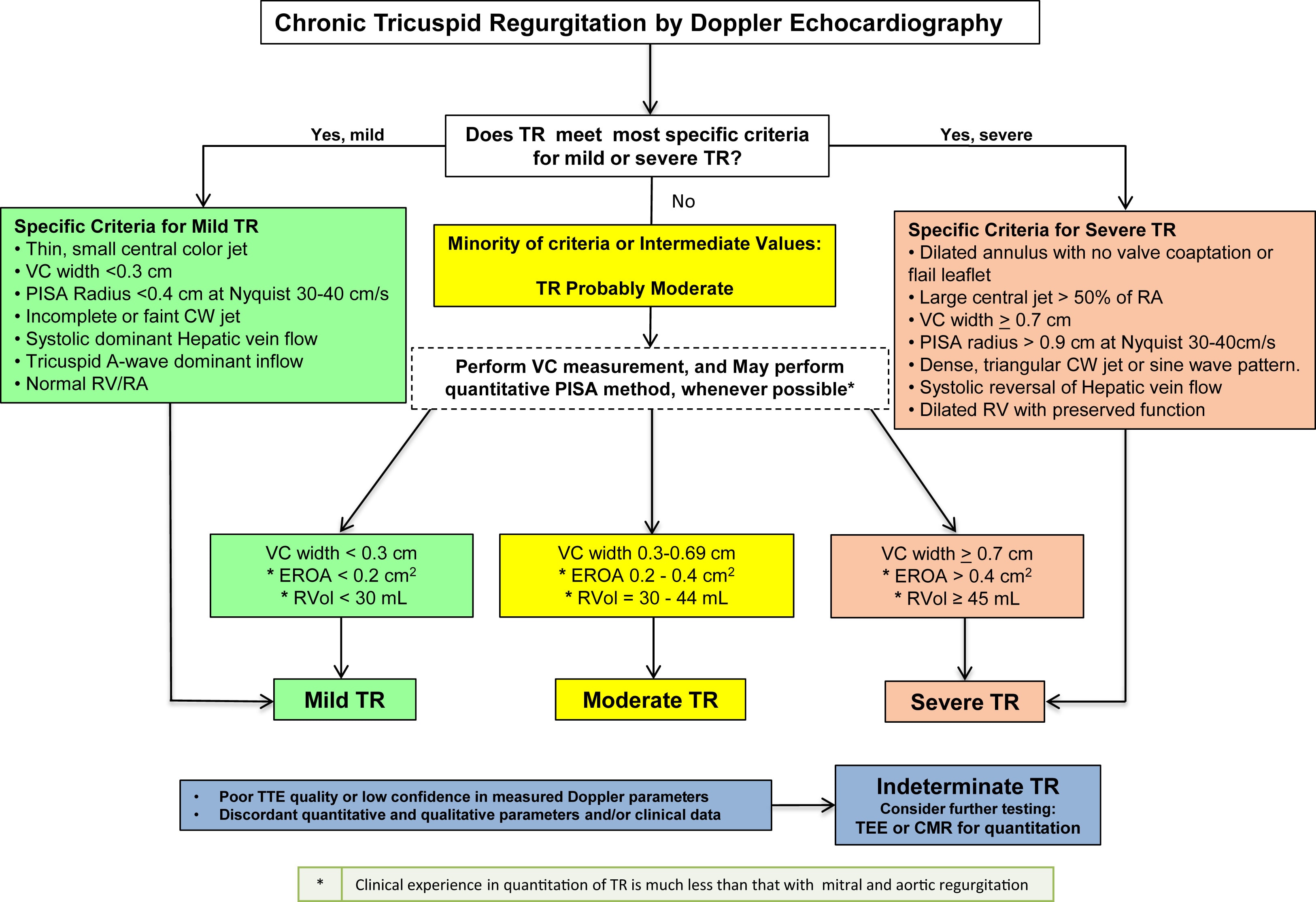 Tricuspid Regurgitation Cardio Guide