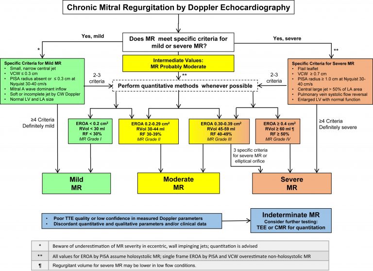 mitral-regurgitation-cardio-guide