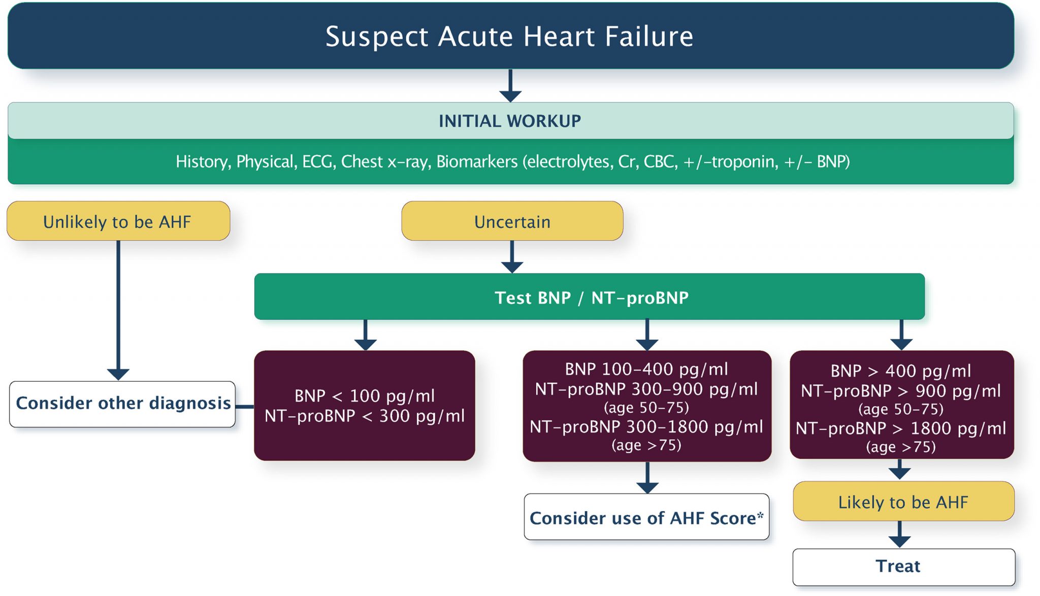 CCS Diagnosis Of Heart Failure In The Acute Care Setting. 2048x1174 