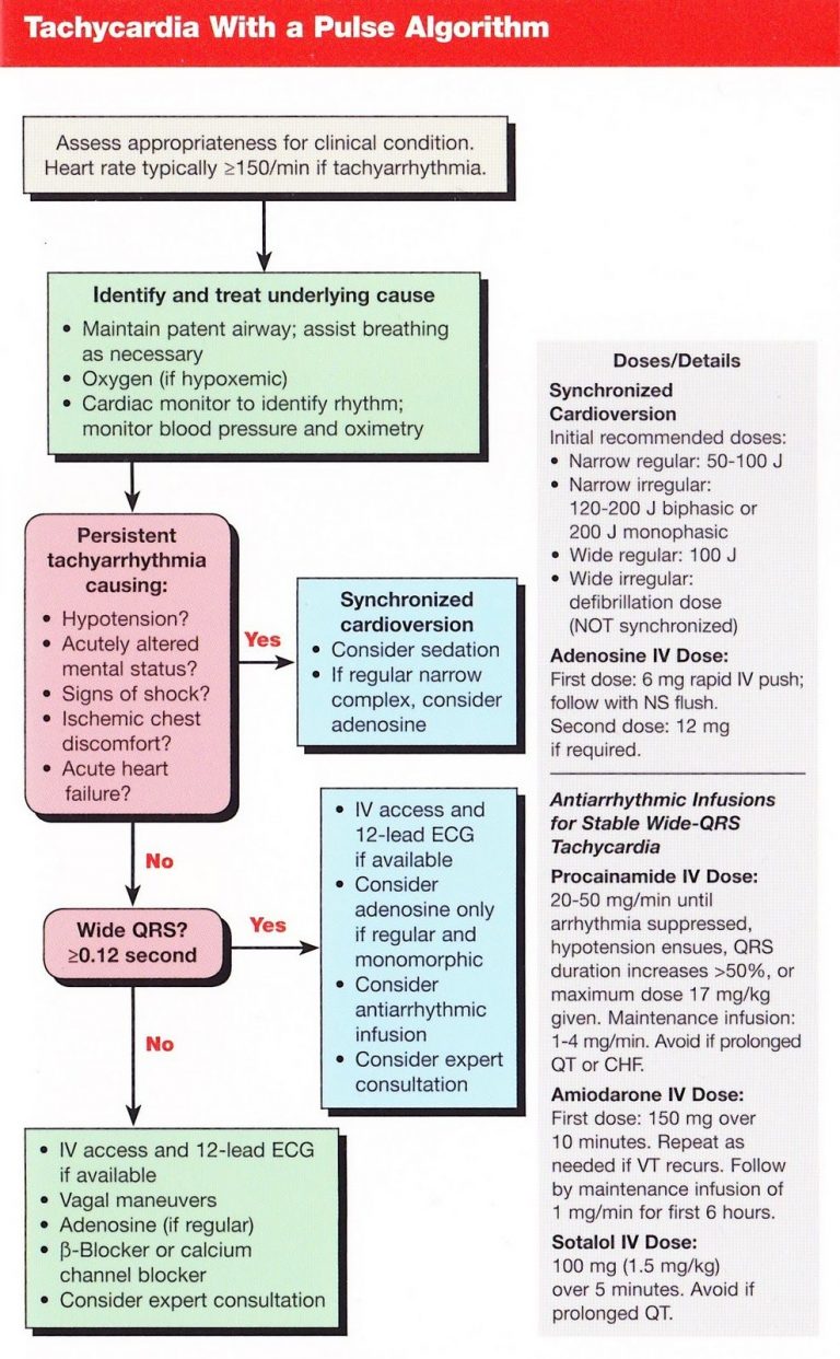 Acls Algorithms 2024 Meds Elka Nicole