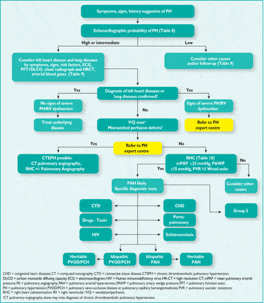 hypertension pulmonary esc ers workup