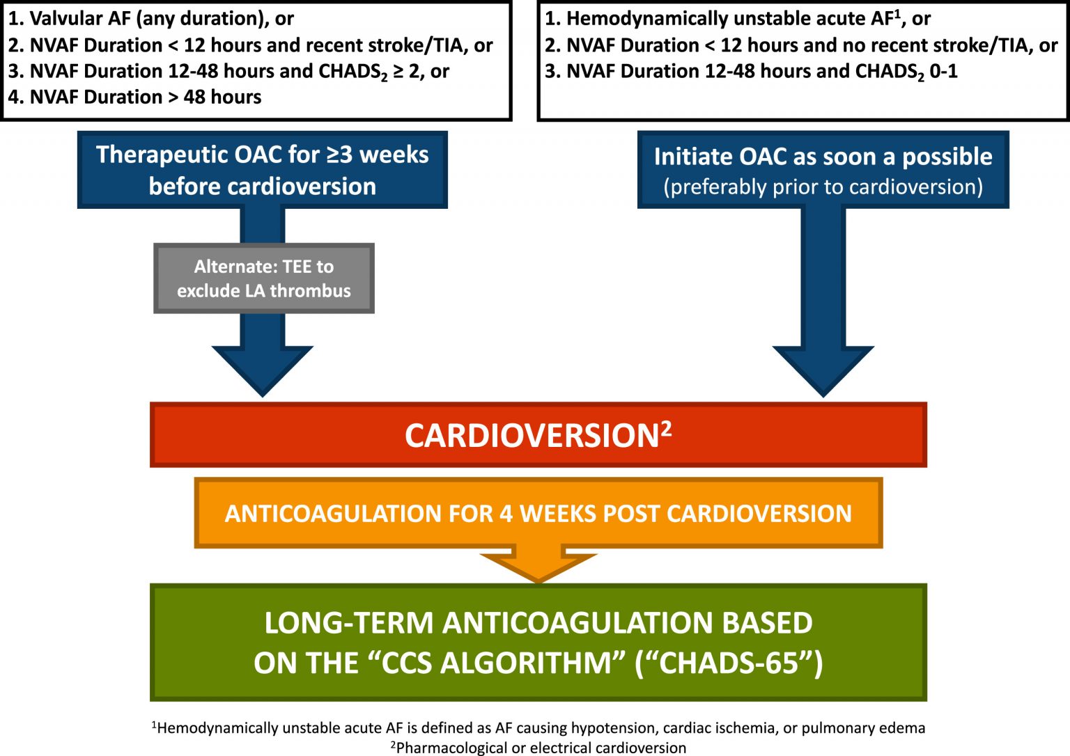 Atrial Fibrillation – Cardio Guide