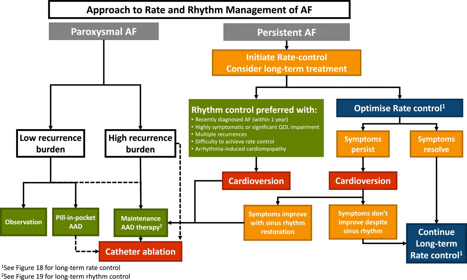 Atrial Fibrillation - Cardio Guide