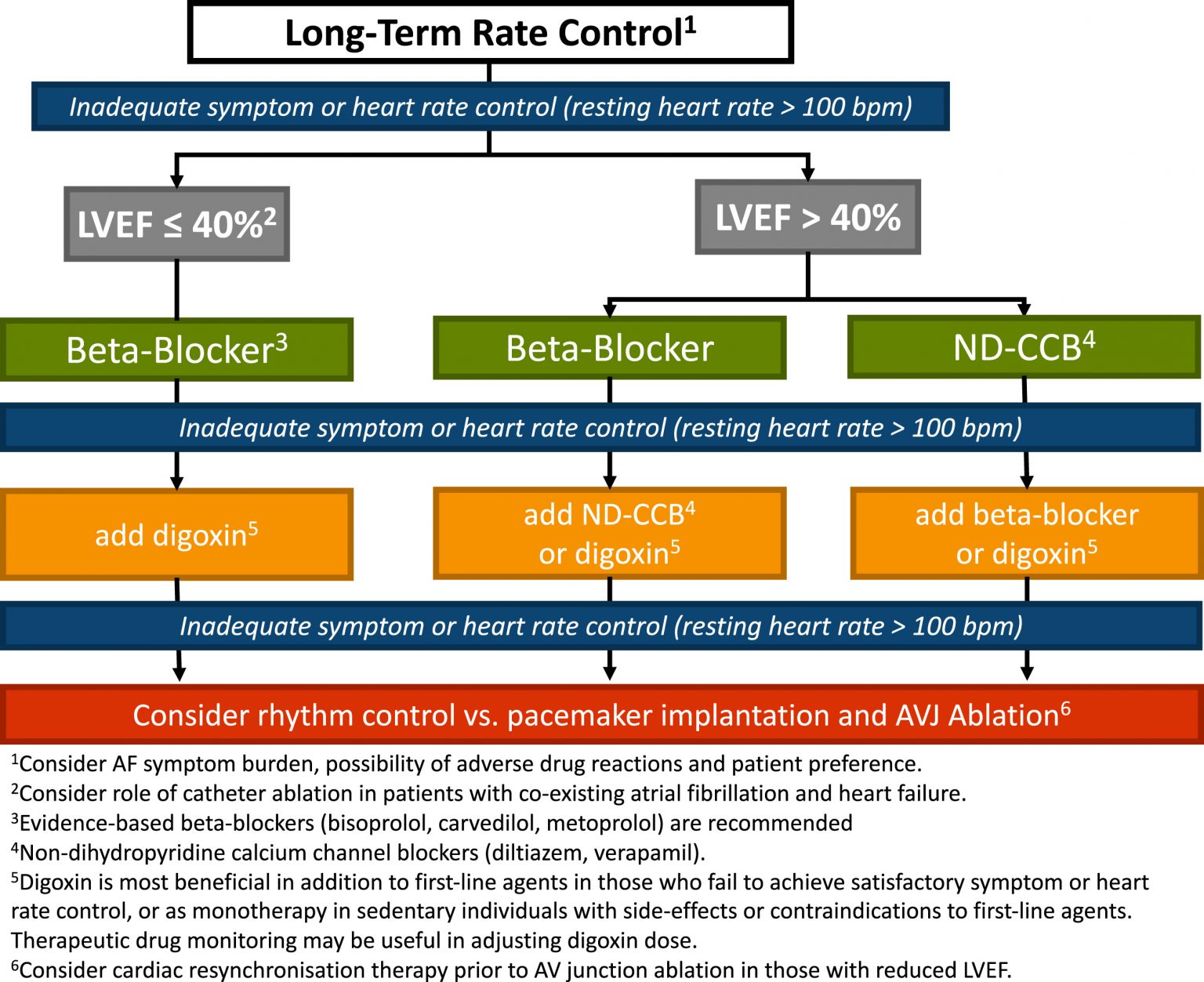 Atrial Fibrillation - Cardio Guide