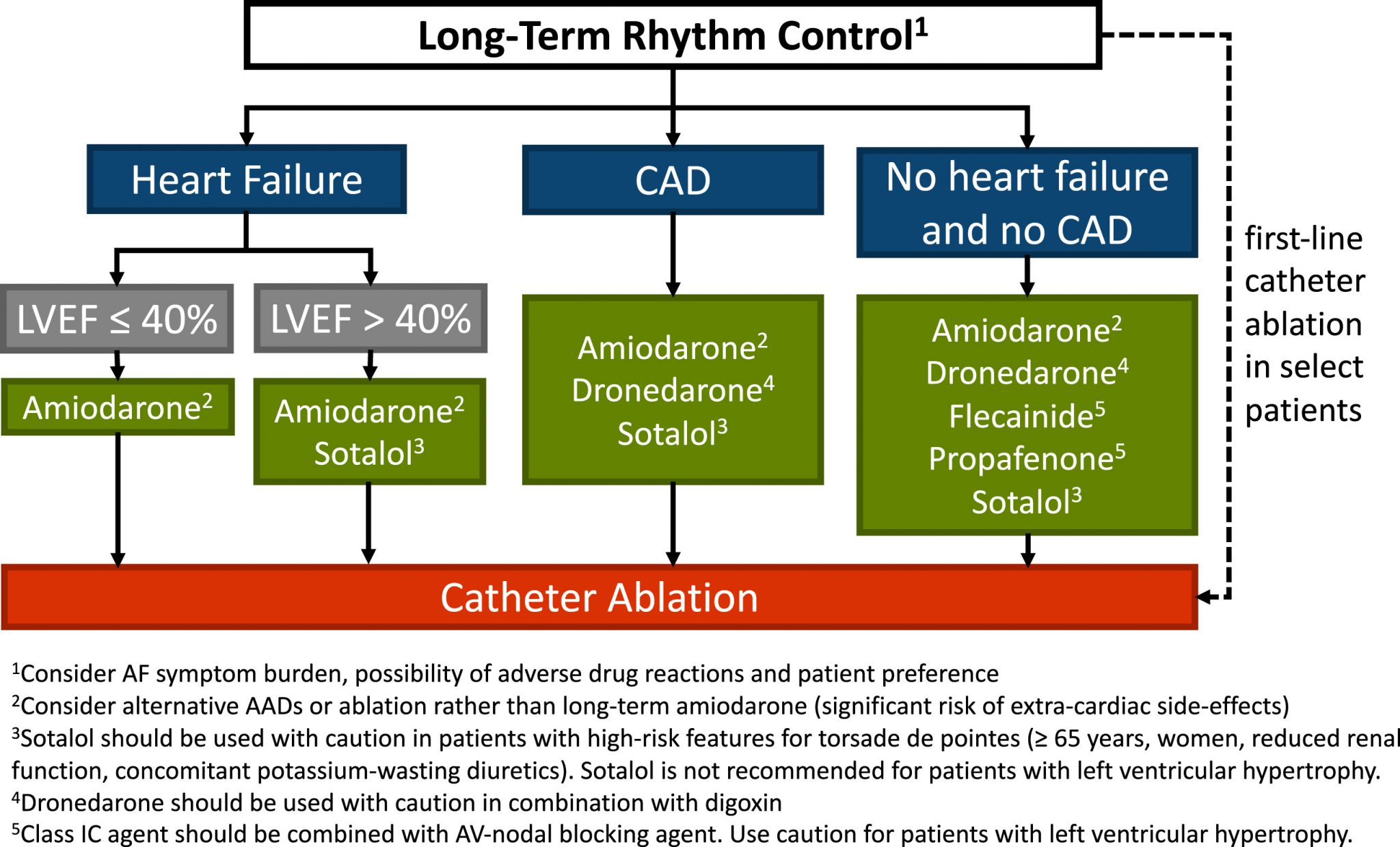 Atrial Fibrillation - Cardio Guide