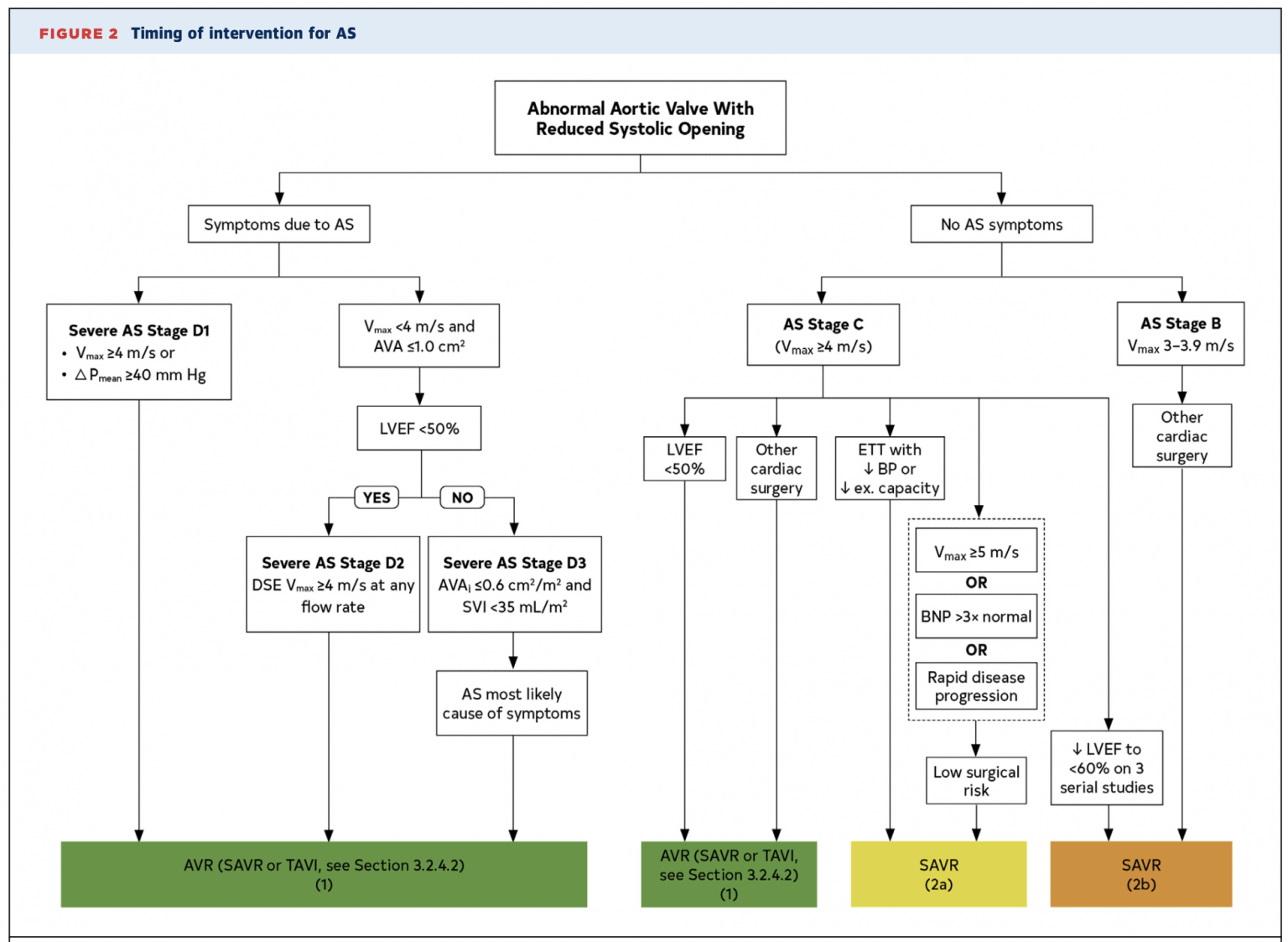 aortic-stenosis-cardio-guide