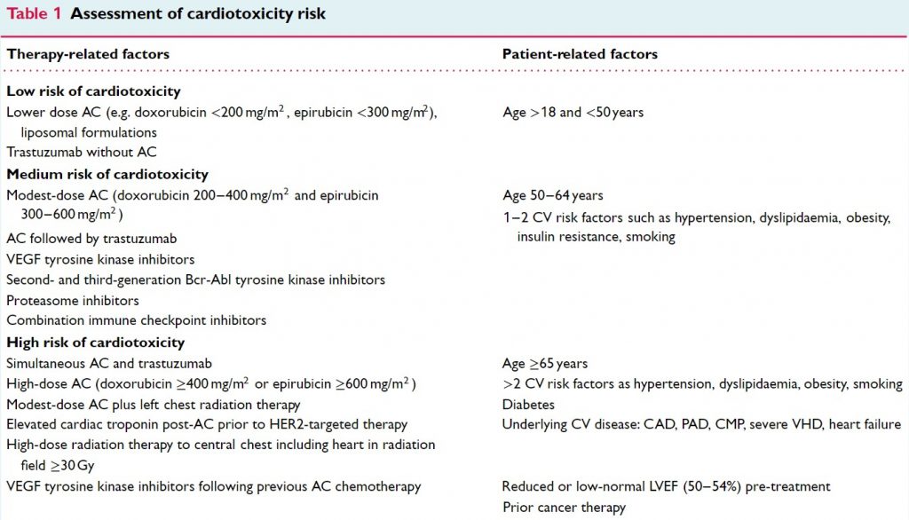 Echocardiography in Cardio-Oncology - Cardio Guide